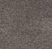 Ковролин Shaw Bradberry 30 872 фото 1 | FLOORDEALER