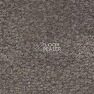 Ковролин Shaw Bradberry 30 872 фото 1 | FLOORDEALER