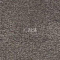 Ковролин Shaw Bradberry 30 872 фото 1 | FLOORDEALER