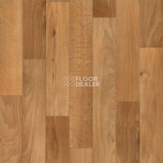 Линолеум Tarkett Acczent Timber MONTREAL 2 фото 1 | FLOORDEALER