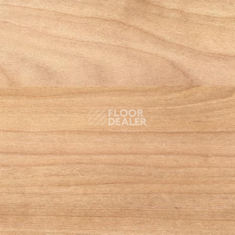Линолеум Gerflor Taraflex Surface Wood 6350_Light_Cherry_Design фото 1 | FLOORDEALER