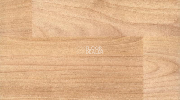 Линолеум Taraflex Surface Wood 6350_Light_Cherry_Design фото 1 | FLOORDEALER