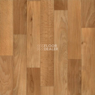 Линолеум Tarkett Acczent Timber MONTREAL 2 фото 1 | FLOORDEALER