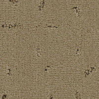 Ковролин Balsan Elite 630 фото 1 | FLOORDEALER