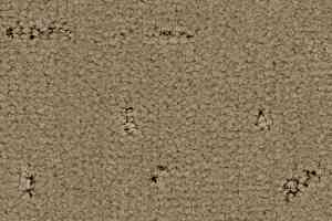 Ковролин Balsan Elite 630 фото  | FLOORDEALER