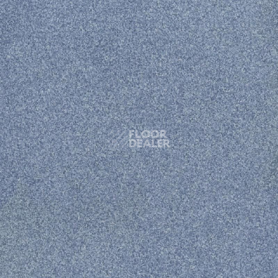 Линолеум Tarkett Pulsar Pulsar 405 фото 1 | FLOORDEALER