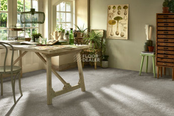 AW Masquerade Certosa 37 фото 2 | FLOORDEALER