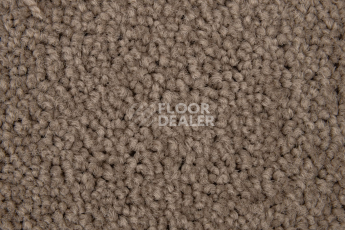 Haima Noble 99 фото 3 | FLOORDEALER