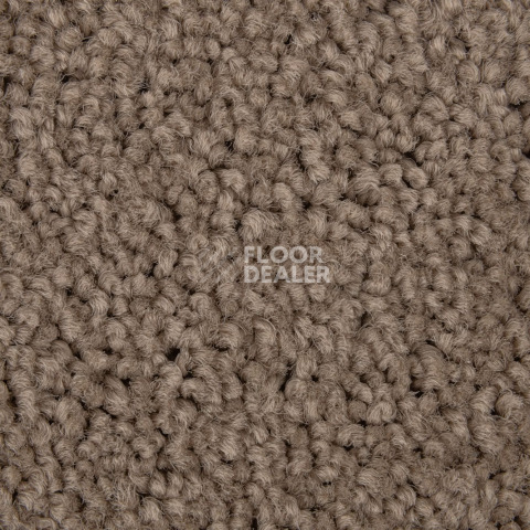 Haima Noble 99 фото 3 | FLOORDEALER