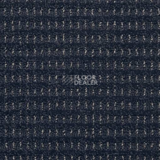 Ковролин Balta ITC Splendid 98 фото 1 | FLOORDEALER