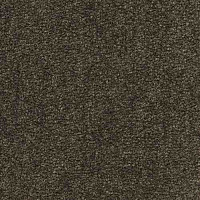 Ковролин Infloor Coronado 750 750 фото 1 | FLOORDEALER