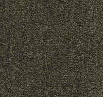 Ковролин Infloor Coronado 750 750 фото 1 | FLOORDEALER