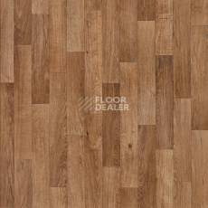 Линолеум Tarkett Evolution Trinidad 20 фото 1 | FLOORDEALER