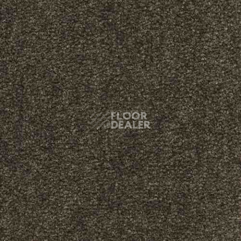Ковролин Infloor Coronado 750 750 фото 1 | FLOORDEALER