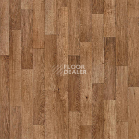 Линолеум Tarkett Evolution Trinidad 20 фото 1 | FLOORDEALER