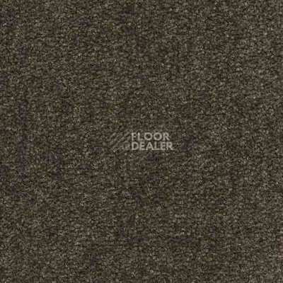 Ковролин Infloor Coronado 750 750 фото 1 | FLOORDEALER