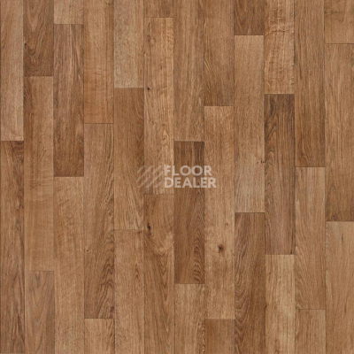 Линолеум Tarkett Evolution Trinidad 20 фото 1 | FLOORDEALER