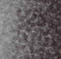 Flotex by Starck Artist 322008 Artist Anthracite / Silver b2 фото 1 | FLOORDEALER