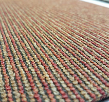 Ruscarpettiles Malibu