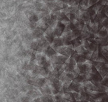 Ковролин Flotex by Starck Artist 322008 Artist Anthracite / Silver b2 фото 1 | FLOORDEALER