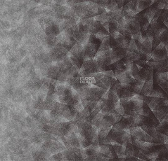 Flotex by Starck Artist 322008 Artist Anthracite / Silver b2 фото 1 | FLOORDEALER