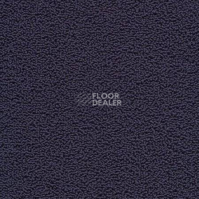 Ковролин Desso Marathon 8801 фото 1 | FLOORDEALER