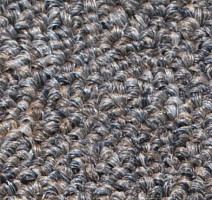 Ковролин Salisbury Beaulieu of America 101 фото 1 | FLOORDEALER