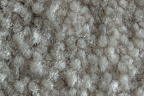 AW Masquerade Fedone 45 фото 3 | FLOORDEALER