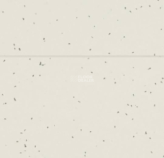 Forbo Sphera Energetic 50222 lace фото 2 | FLOORDEALER