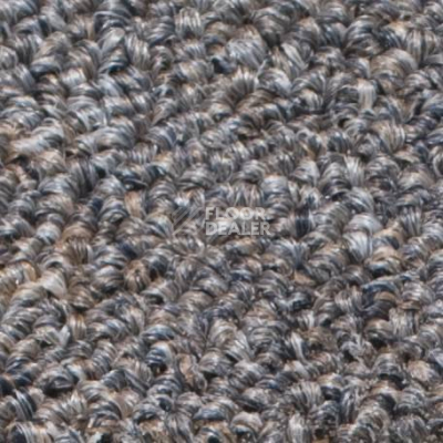 Ковролин Salisbury Beaulieu of America 101 фото 1 | FLOORDEALER