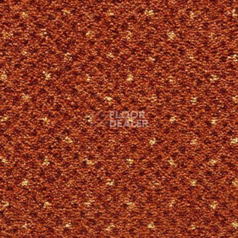 Ковролин Condor Carpets America 248 фото 1 | FLOORDEALER