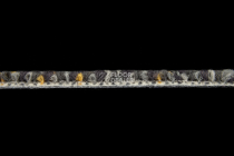 City 2009-02 + Gold фото 3 | FLOORDEALER