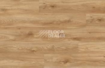 Moduleo Roots 0.55 EIR дерево SIERRA OAK 58346Q фото 2 | FLOORDEALER