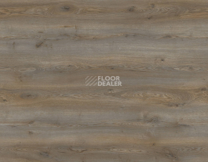 Ламинат Kronotex Mammut Plus d40762 Дуб Горный Титановый фото 1 | FLOORDEALER