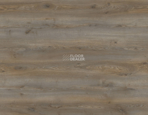 Kronotex Mammut Plus d40762 Дуб Горный Титановый фото 1 | FLOORDEALER