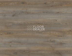 Ламинат Kronotex Mammut Plus d40762 Дуб Горный Титановый фото 1 | FLOORDEALER