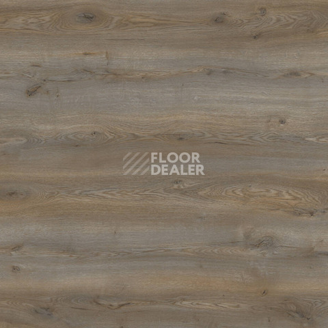 Ламинат Kronotex Mammut Plus d40762 Дуб Горный Титановый фото 1 | FLOORDEALER