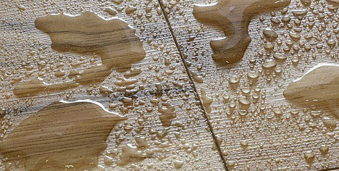 Как защитить ламинат от влаги? Советы Floordealer