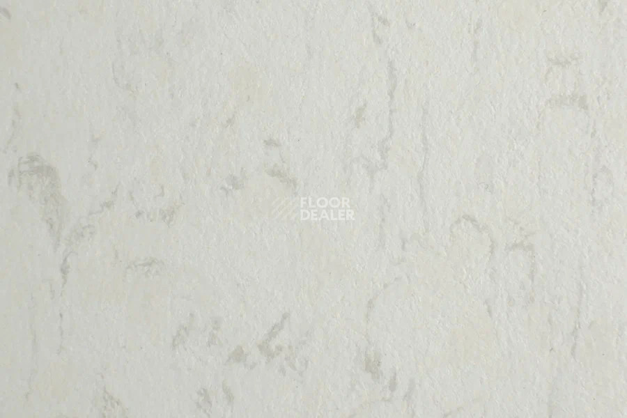 Forbo Marmoleum Solid Piano 3650-365035 polar bear фото 2 | FLOORDEALER