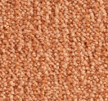 Ковролин Balsan Delice Delice 450 фото 1 | FLOORDEALER