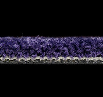 Balsan Bolero 895 фото 3 | FLOORDEALER