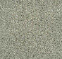 Ковролин Tarkett Sensa Sensa 53168 фото 1 | FLOORDEALER