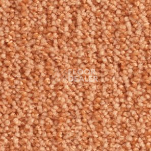 Ковролин Balsan Delice Delice 450 фото 1 | FLOORDEALER