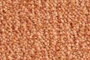 Ковролин Balsan Delice Delice 450 фото  | FLOORDEALER