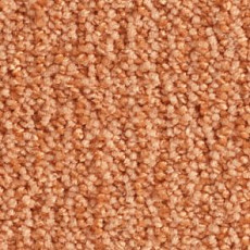 Ковролин Balsan Delice Delice 450 фото 1 | FLOORDEALER