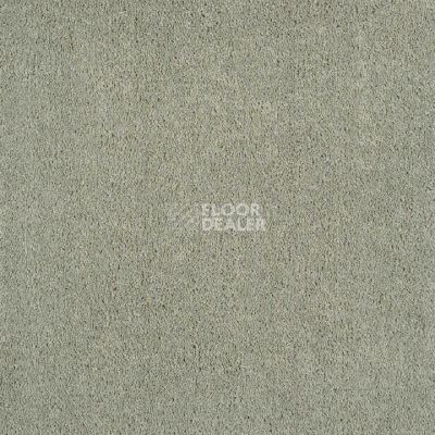 Ковролин Tarkett Sensa Sensa 53168 фото 1 | FLOORDEALER