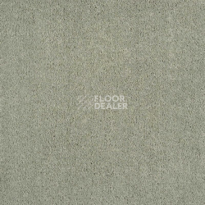 Ковролин Tarkett Sensa Sensa 53168 фото 1 | FLOORDEALER