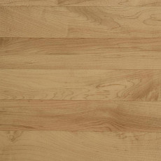 Линолеум Tarkett Omnisports R35 TH_OMNISPORTS_MAPLE фото 1 | FLOORDEALER