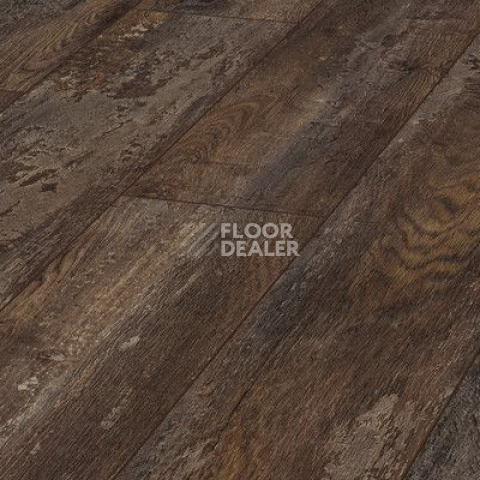 Ламинат Kronotex Exquisit 8мм d4790 Дуб Лискам фото 1 | FLOORDEALER