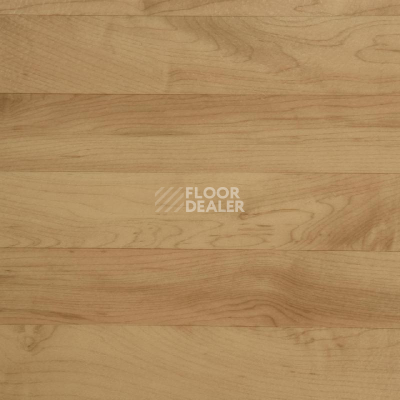 Линолеум Tarkett Omnisports R35 TH_OMNISPORTS_MAPLE фото 1 | FLOORDEALER